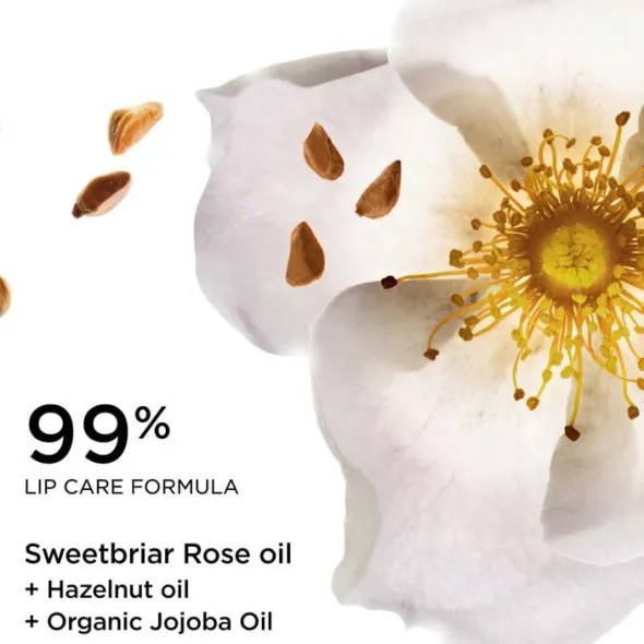 Lip Oil Balm
