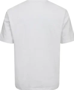 MENS CASUAL FIT SS T SHIRT TEDDY