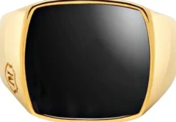Men's Gold Signet Ring with Onyx