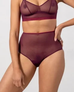 Mesh Highwaist Briefs