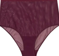 Mesh Highwaist Briefs