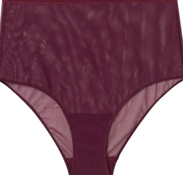 Mesh Highwaist Briefs