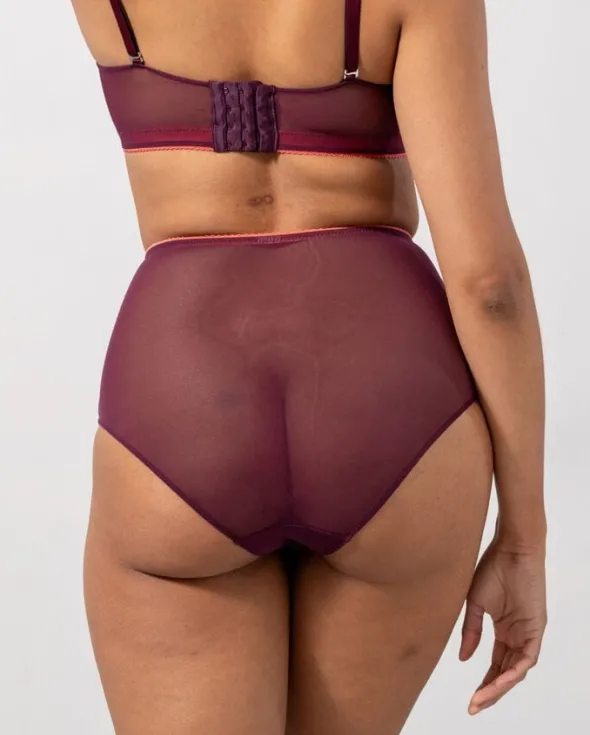 Mesh Highwaist Briefs