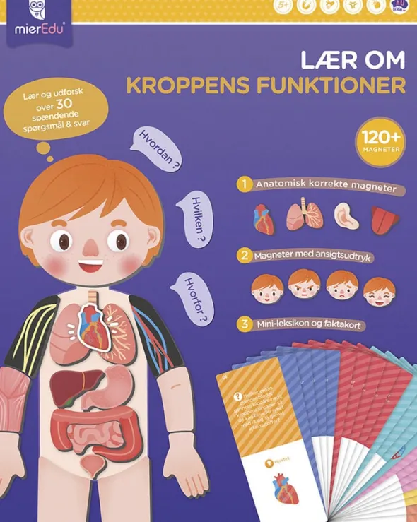 mierEdu - Magnetisk legesæt - Lær om kroppens funktioner