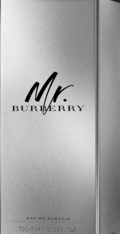 MR Burberry
