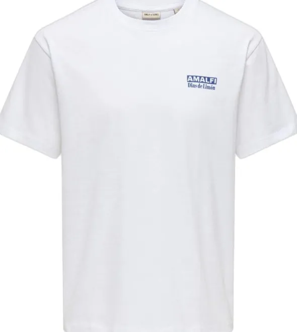 ONSFRED LIFE RLX SS PRINT TEE NOOS