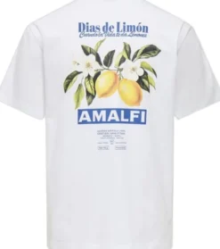 ONSFRED LIFE RLX SS PRINT TEE NOOS