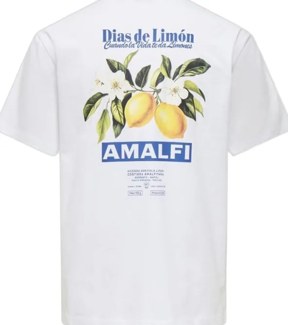 ONSFRED LIFE RLX SS PRINT TEE NOOS