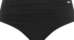 OTTAWA DEEP GATHERED BRIEF