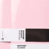 Pantone BOOKLETS SET OF 2 DOTTED - Light Pink