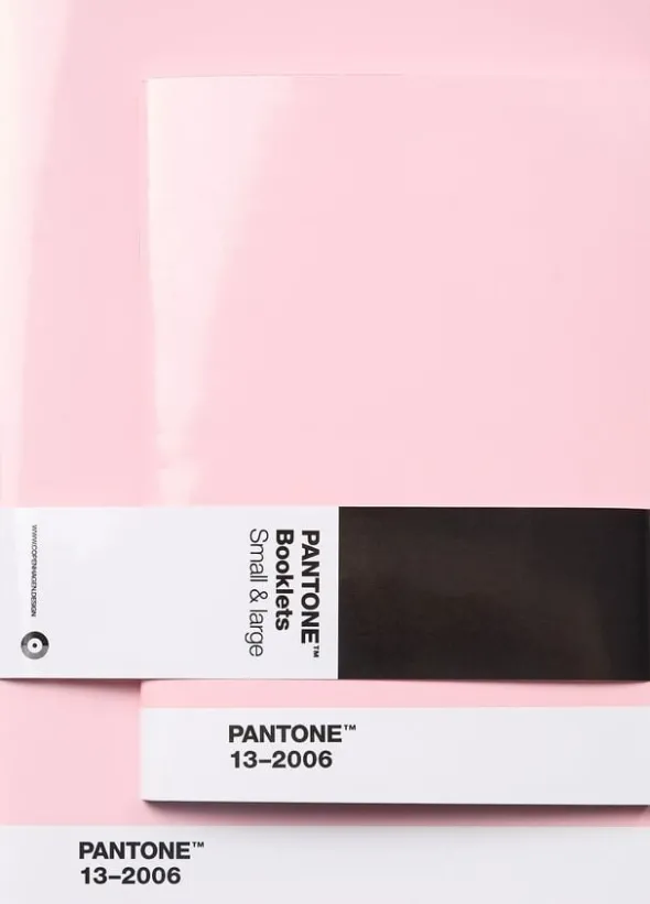 Pantone BOOKLETS SET OF 2 DOTTED - Light Pink