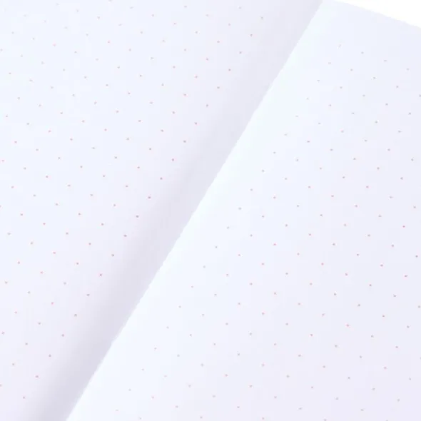 Pantone BOOKLETS SET OF 2 DOTTED - Light Pink