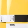 Pantone MA - BOOKLETS SET OF 2 DOTTED - YELLOW