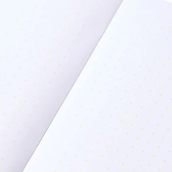 Pantone MA - BOOKLETS SET OF 2 DOTTED - YELLOW