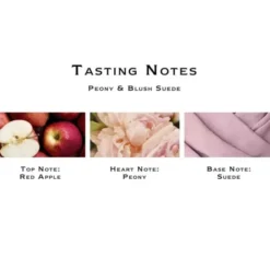 Peony & Blush Suede Home Candle