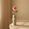 Peony Flower