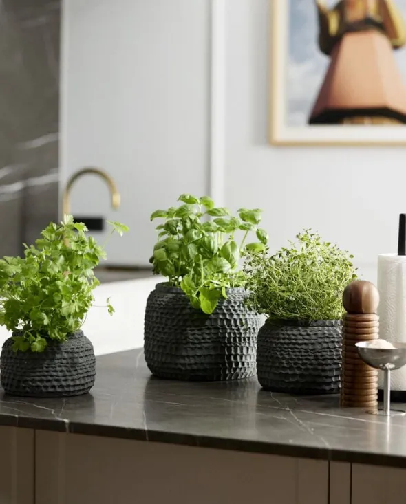 PIPER paper towel holder, wood - black