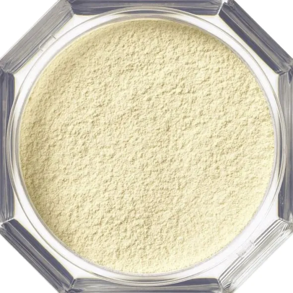 Pro Filt'r Instant Retouch - Setting Powder