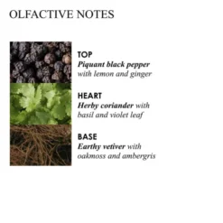 Re-charge Black Pepper Body Lotion