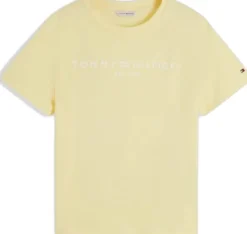 REG CORP LOGO C-NK SS