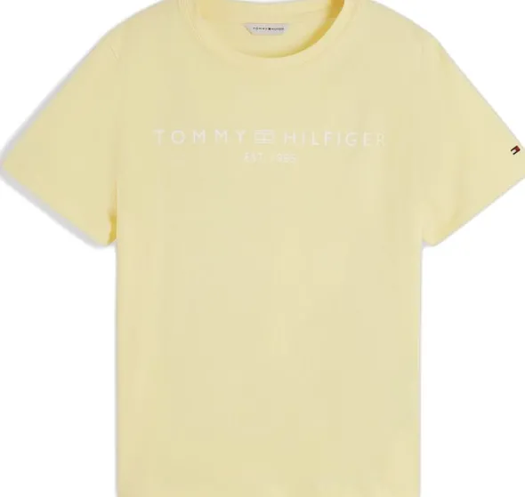 REG CORP LOGO C-NK SS