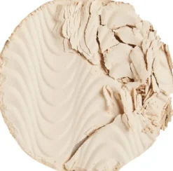 Revolution Pro CC Perfecting pressed powder