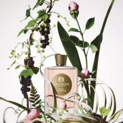 Rose Wonderland Eau de parfum female fragrance 100. 0 ML