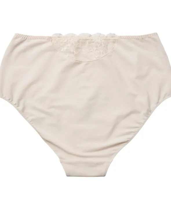 RÊVE Retro brief