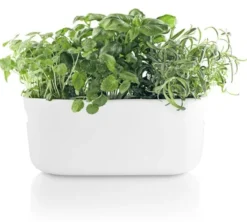Selvvandende Herb organiser white
