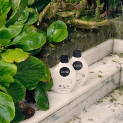 Shampoo Cactus no. 17