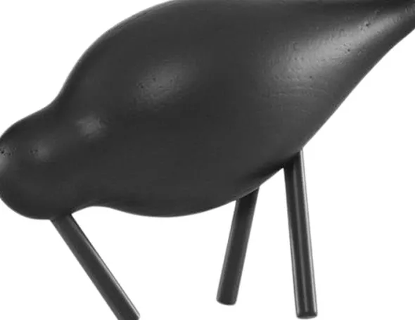 Shorebird liten svart