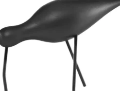 Shorebird stor svart