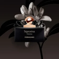 Signorina Misteriosa