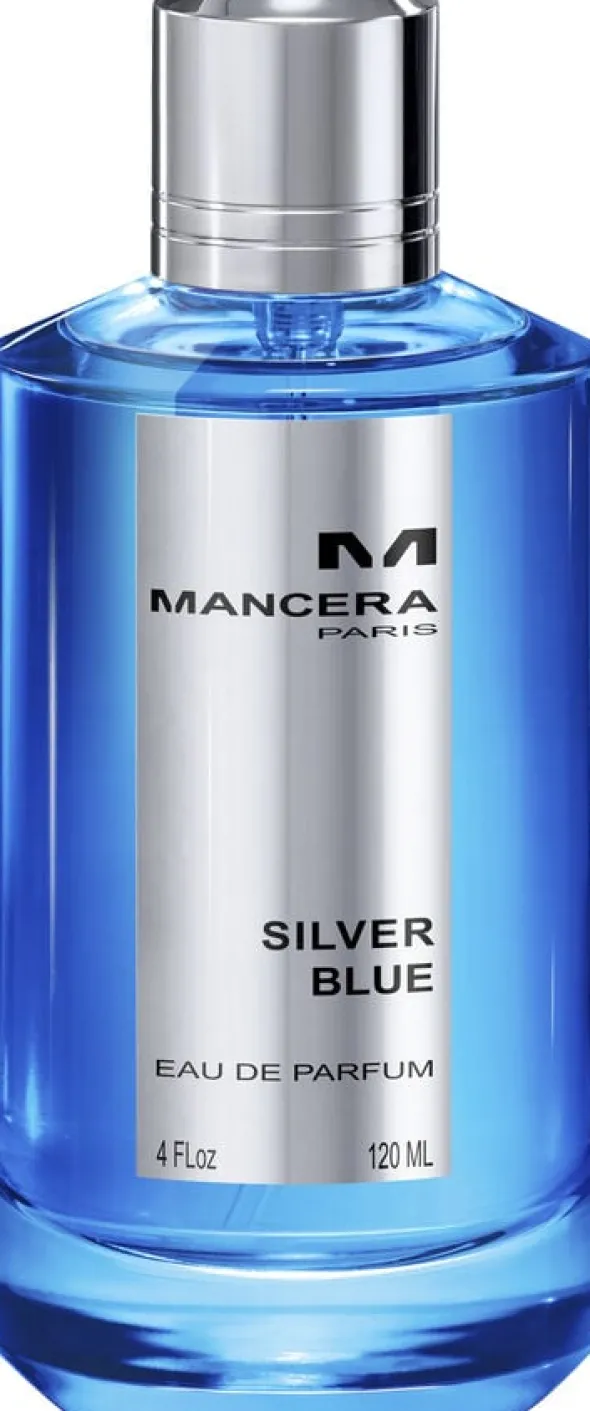 Silver blue Eau de Parfums 120 ml