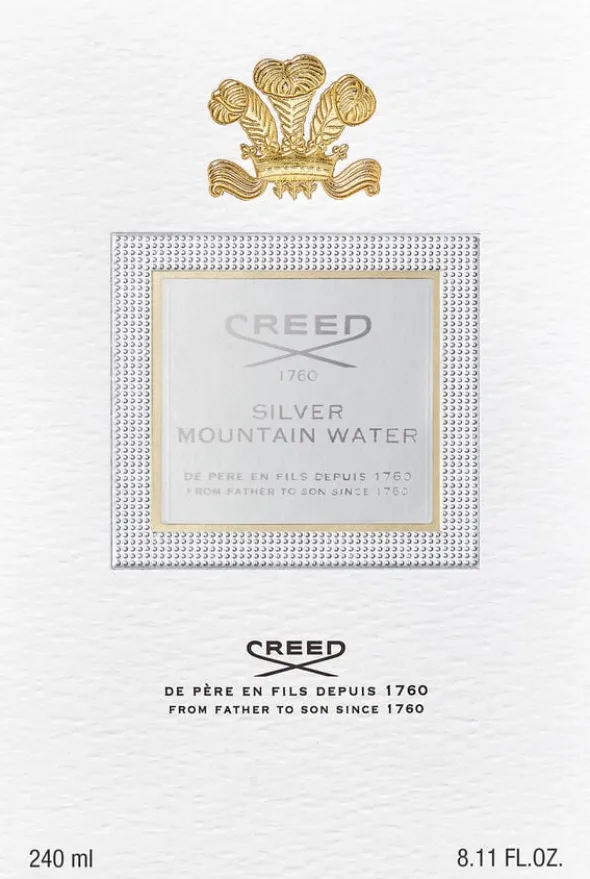 SILVER MOUNTAIN WATER 240 ML