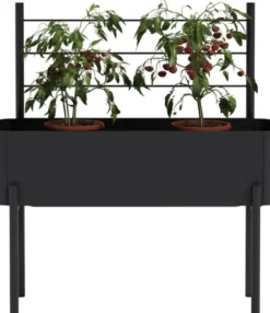 Simply Grow Espalier til plantekasse