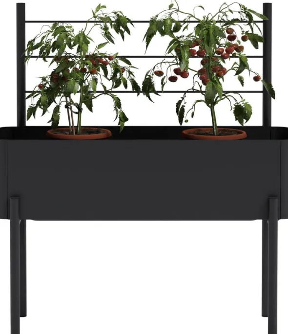 Simply Grow Espalier til plantekasse