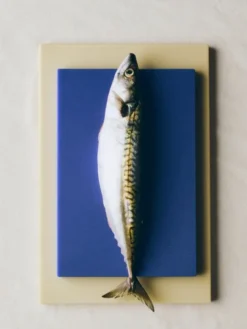 Slice Chopping Board-Medium-Cobalt