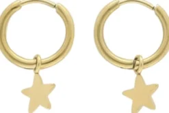 Small hoop earrings with star charm