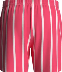 Striped Swim Shorts