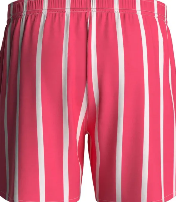 Striped Swim Shorts