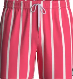 Striped Swim Shorts