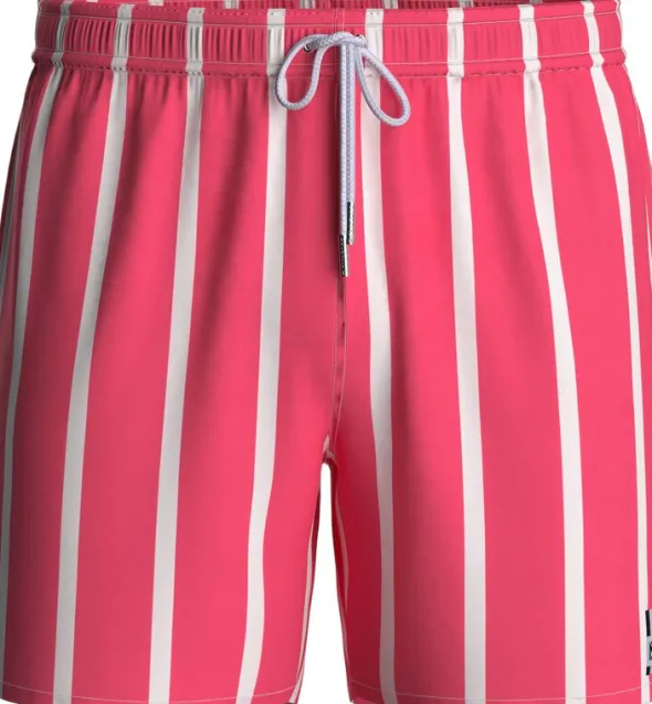 Striped Swim Shorts