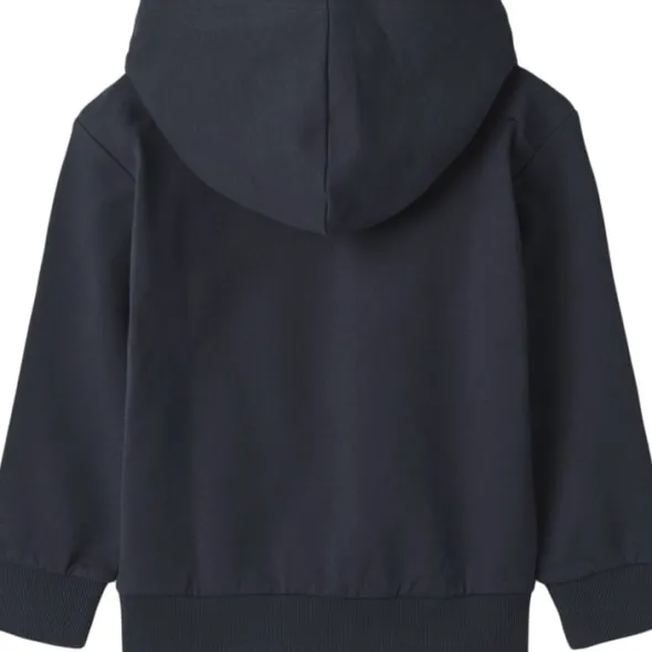 Sweatshirt Rumvaskebjørn