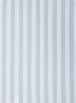 Tea Towels 50x70 cm BIRK