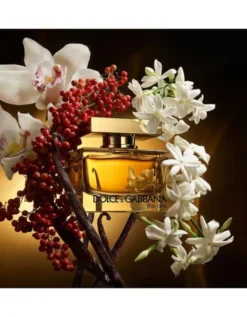 The One EdP Intense