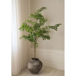 Tropical Almond