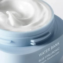 Water Bank Cream Moisturizer