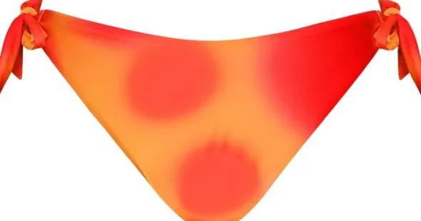 Waverly Bikini Briefs