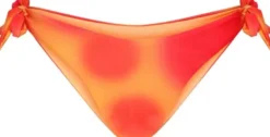 Waverly Bikini Briefs